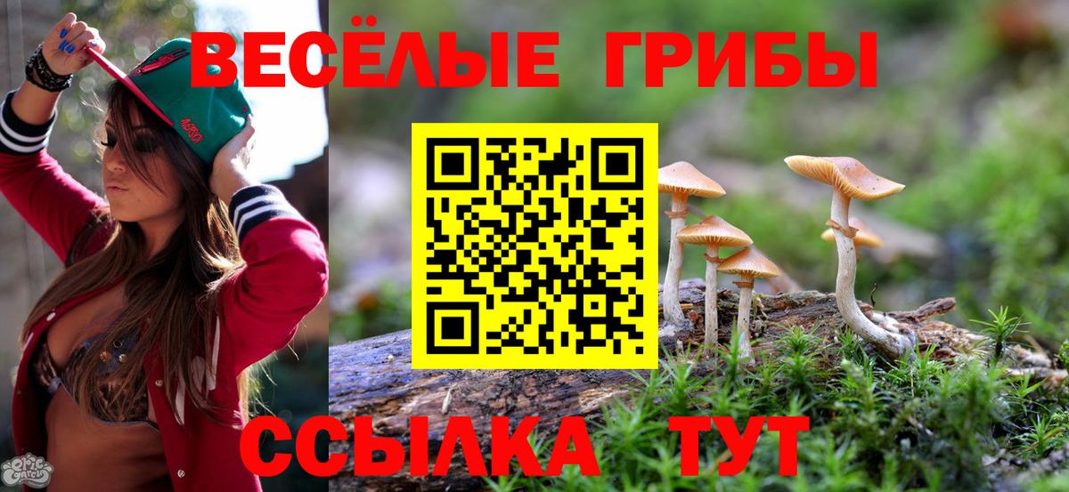 Псилоцибиновые грибы Psilocybe Верхняя Пышма