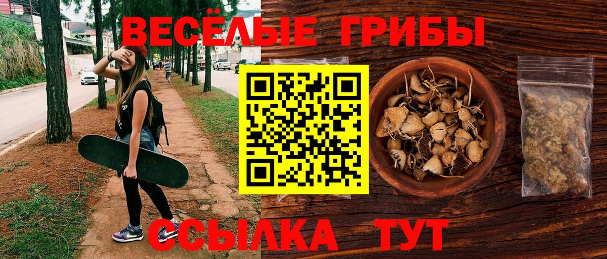 Галлюциногенные грибы Magic Shrooms  Вход с VPN  Верхняя Пышма  Псилоцибиновые грибы Psilocybine cubensis 